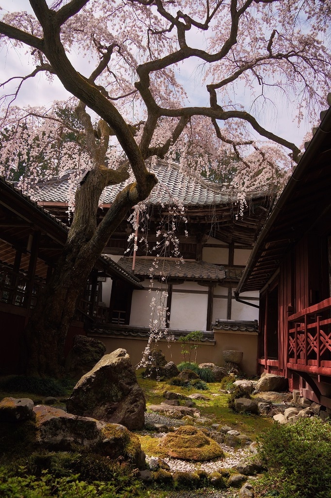 京都旅行のプランを考えます 京都旅行のオリジナルプランを考えます！ イメージ1