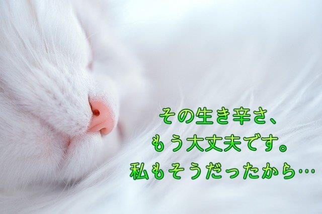 その生き辛さ、私も分かります 周りに理解して貰えない…、『それって私がおかしいの??』 イメージ1