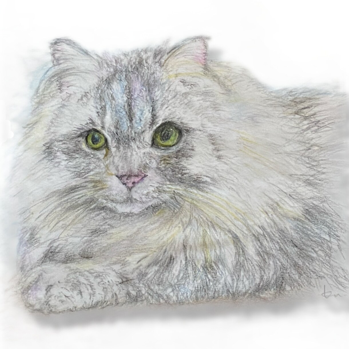 愛犬・愛猫を色鉛筆またはデジタルでリアルに描きます ペットとの思い出をあったかい似顔絵でお手元に イメージ5
