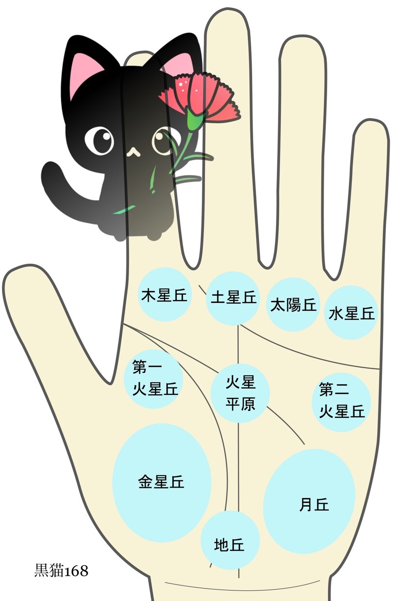 鑑定後（納品後）の追加カラーリングを致します 鑑定終了後にカラーリングによる色付けを行いたい方限定。 イメージ1