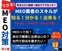 MEO対策導入編を教えます MEO業者が提供する技能と知識を習得できます イメージ1