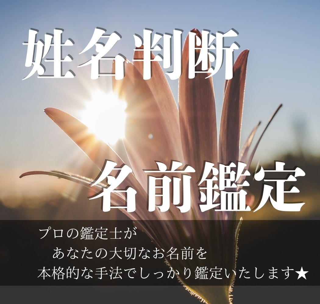 あなたの大切なお名前☆しっかり丁寧に鑑定いたします 〜命名☆ビジネスネーム☆など鑑定は姓名判断のプロにおまかせ〜 イメージ1