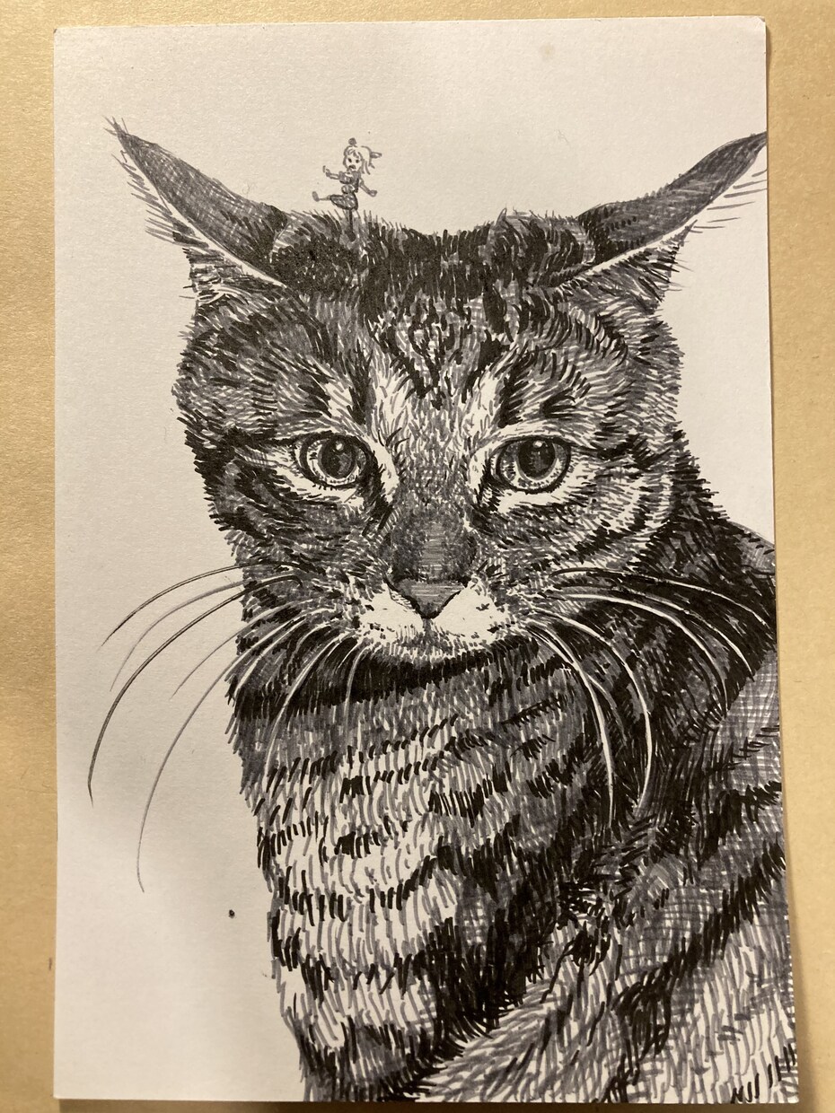 最初のご購入者様限定価格！ペン画ペットを作成します 世界に一点だけの絵ハガキ。現物をお届け！ イメージ2