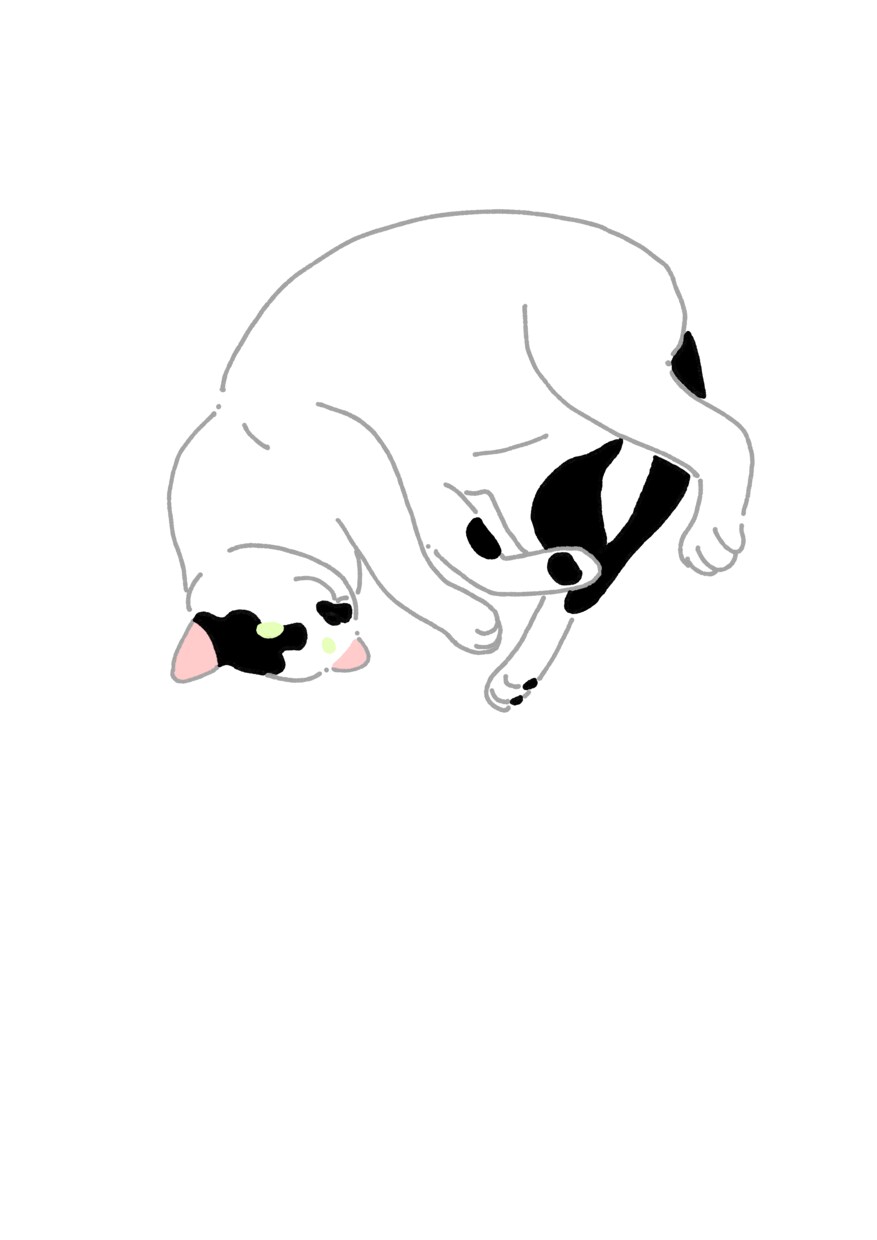 ねこのデフォルメイラスト描きます 性格などをお聞きしてその子にあったイラストお描きします イメージ5