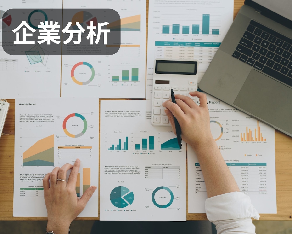 企業分析を手伝います ★現役人事が面接に使える企業分析資料を作成 イメージ1