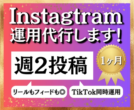 週2回投稿！30日間SNS運用代行します 動画投稿＋TikTok同時運営で効果的に拡散させます！ イメージ1