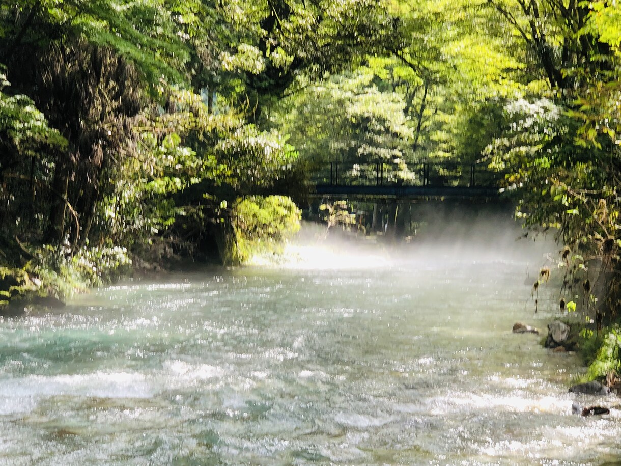 強く楽しく生きましょ！人生迷ったり悩んだり聞きます 心を軽くする仏教の知恵で人間関係/恋愛/仕事/心の悩みを解消 イメージ7