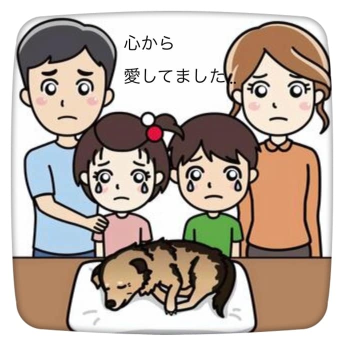 ペットロスの方のお話しを傾聴いたします 自分の家族だったペットとの別れに受け入れる事が出来ない心 イメージ1