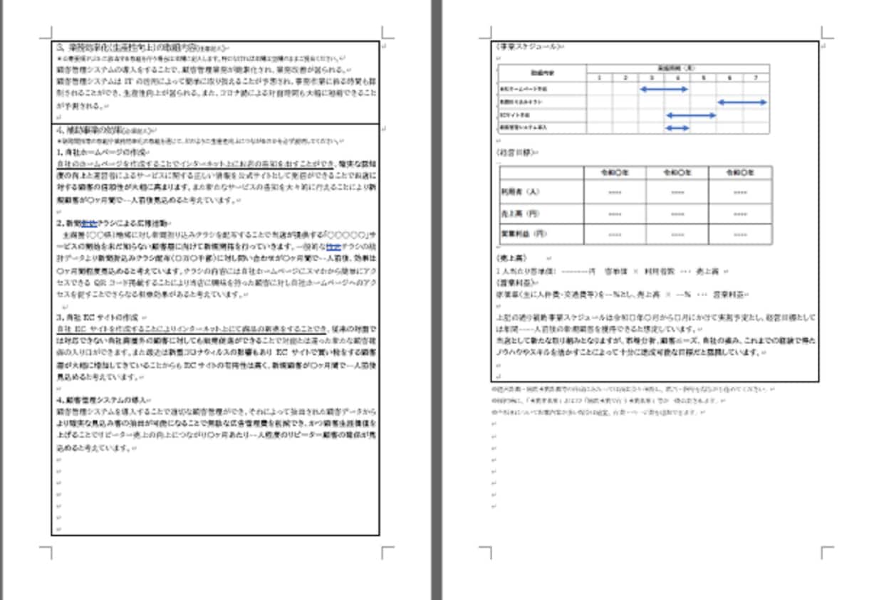 キャンプ用品店★持続化補助金採択書類をお譲りします 採択済み事業計画書を【テンプレート】としても利用できます！ イメージ5