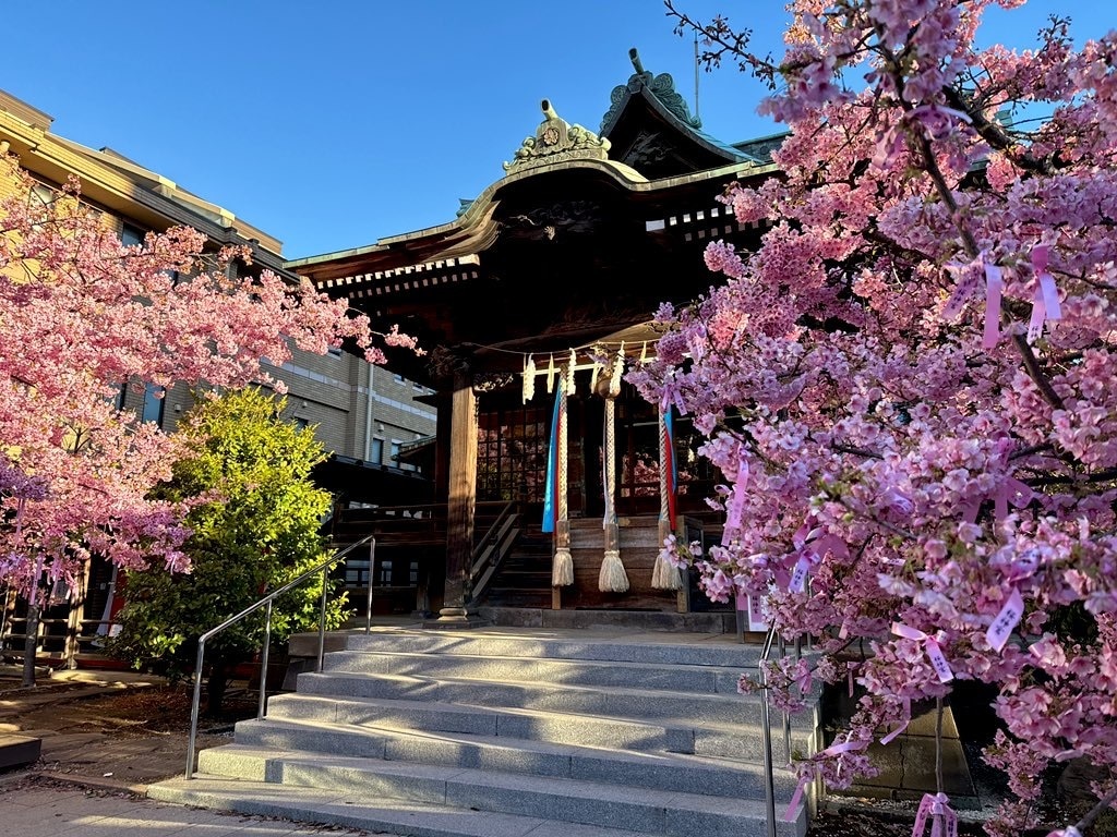 あなたの代わりに参拝代行します あなたの願いごと、目的に合った神様がいる神社で参拝します イメージ1