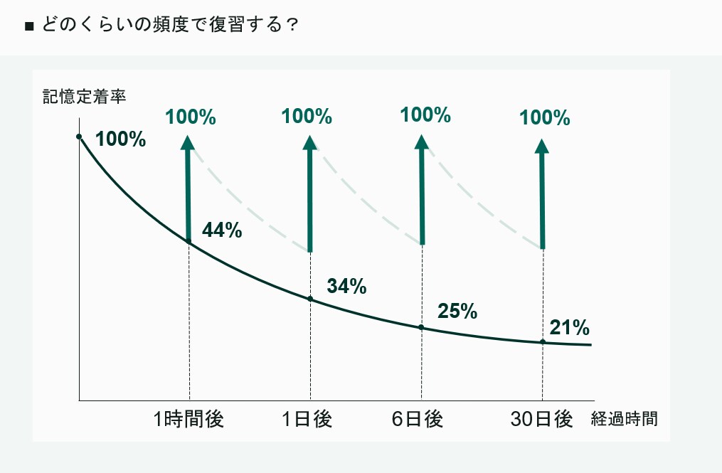 初月限定！1カ月間TOEICコーチング行います コーチング延べ200人超！TOEIC940点取得のコーチ イメージ5