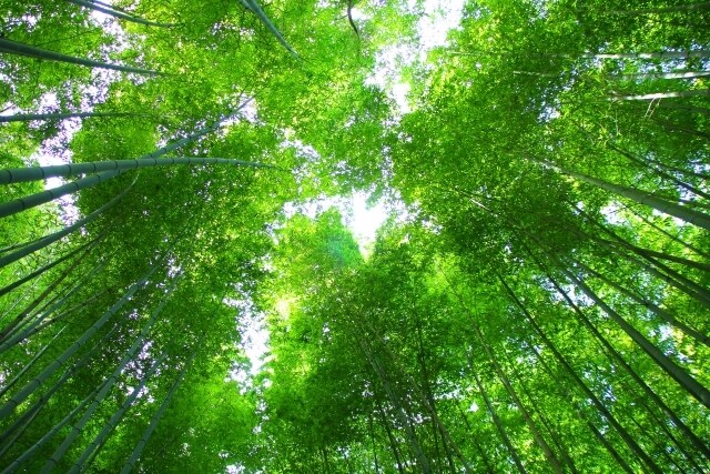 あなたの話したい！心と気持ちに寄り添いお聴きします 現役コーチが、否定せず全力であなたの味方になり心を楽にします イメージ6