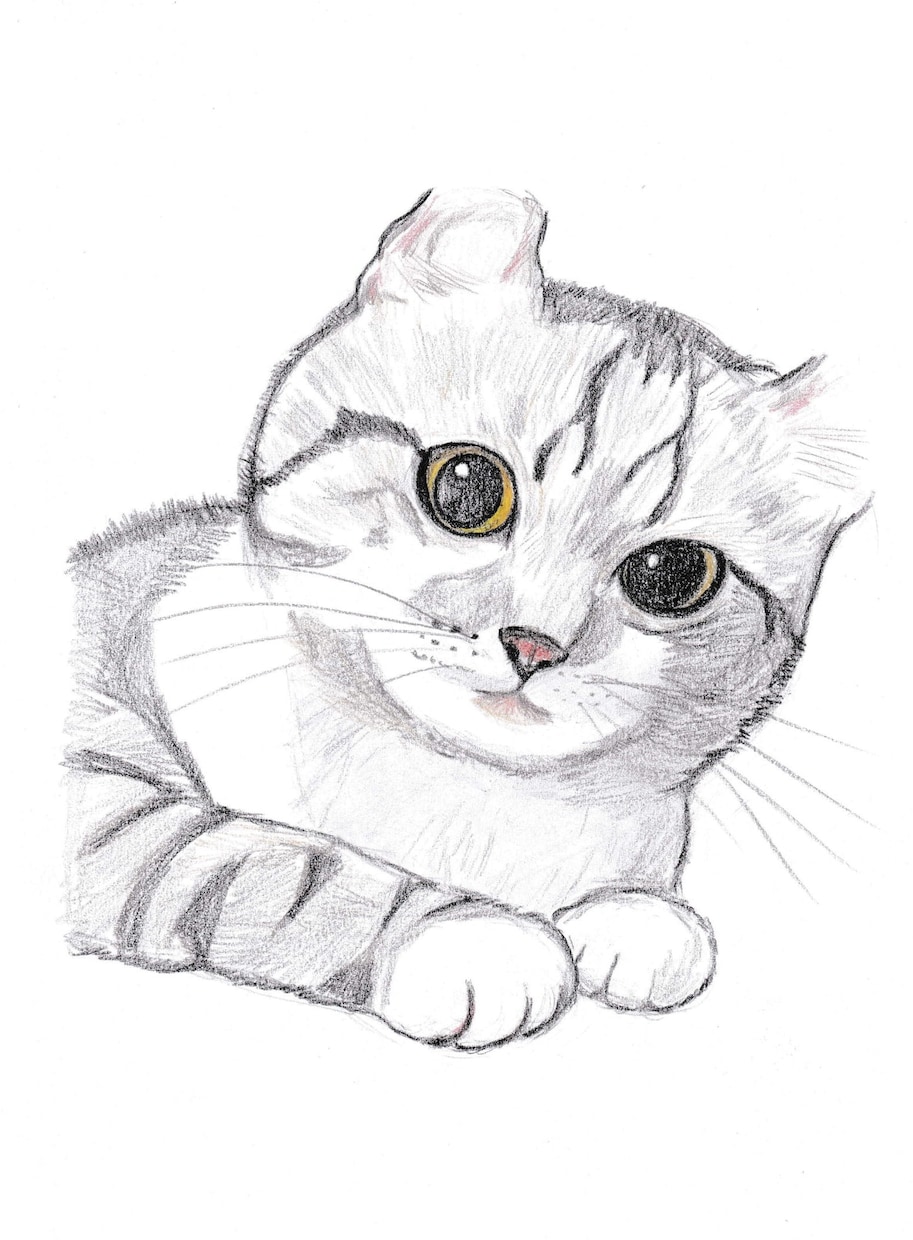 優しいタッチの似顔絵描きます 色鉛筆画であたたかみのあるイラストです イメージ7