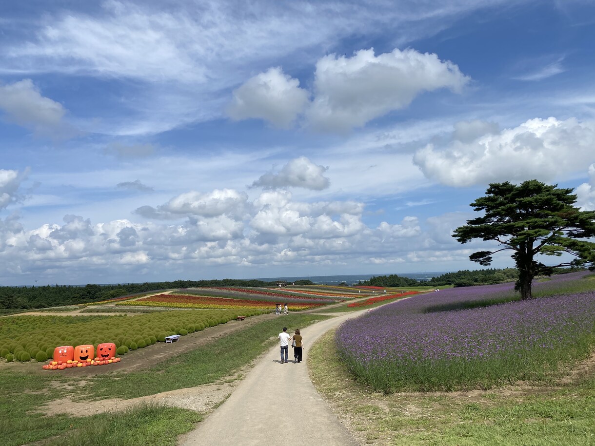 あなたの想いを写真にします いくつかのキーワードを教えてください。 イメージ2