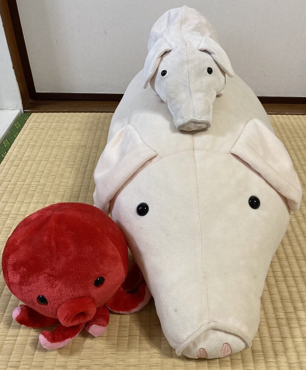お悩み伺います 精神的な不調、日常の悩み、精神科ナースにご相談ください！ イメージ1