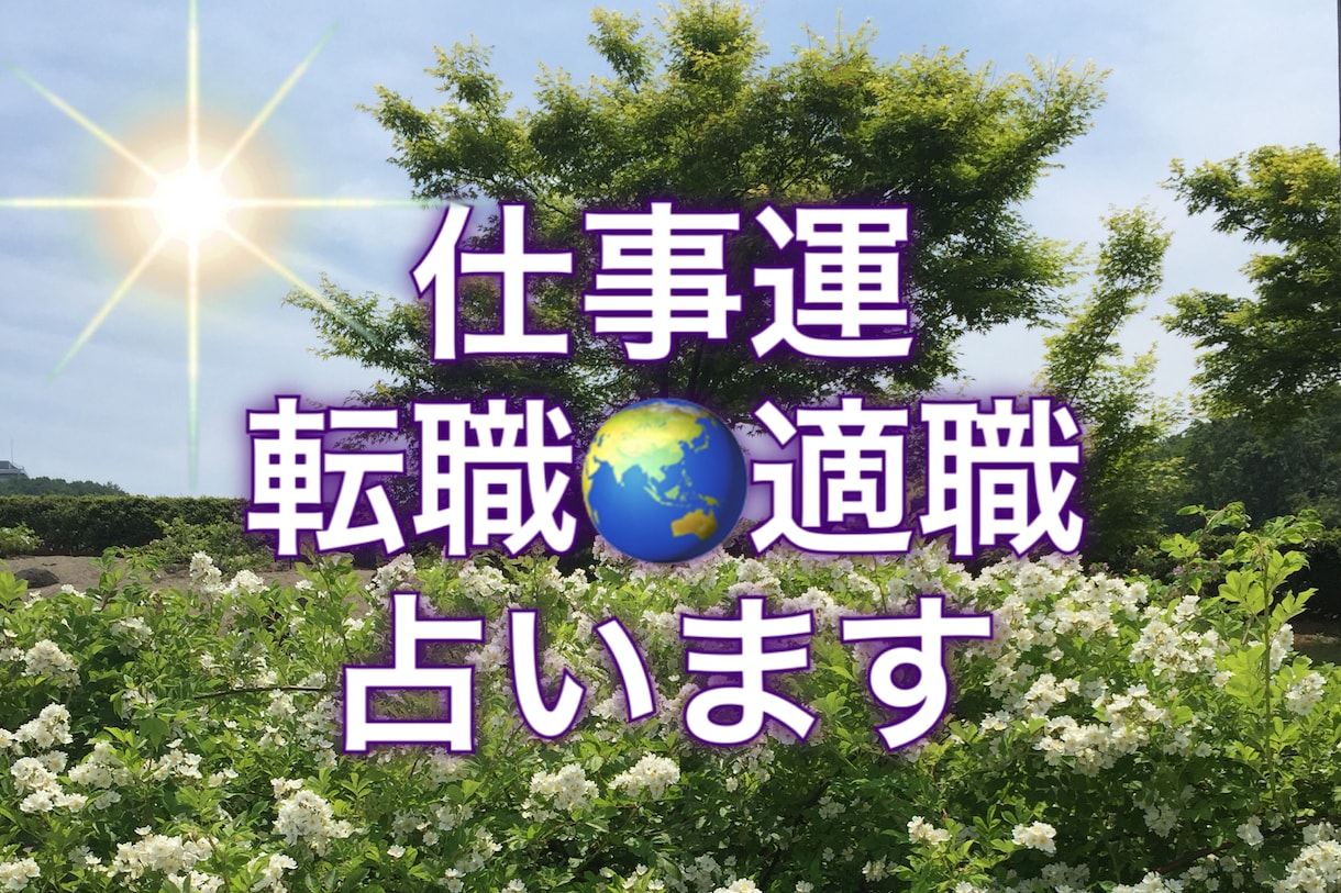 あなたの仕事運、転職・適職を占います 四柱推命と西洋占星術の二刀流であなたの仕事運を占います！ イメージ1