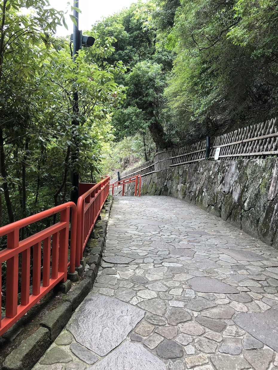 選択肢が曖昧な、もやもやの霧を梅花心易で晴らします まずはリラックスして何でもお話しください。 イメージ3