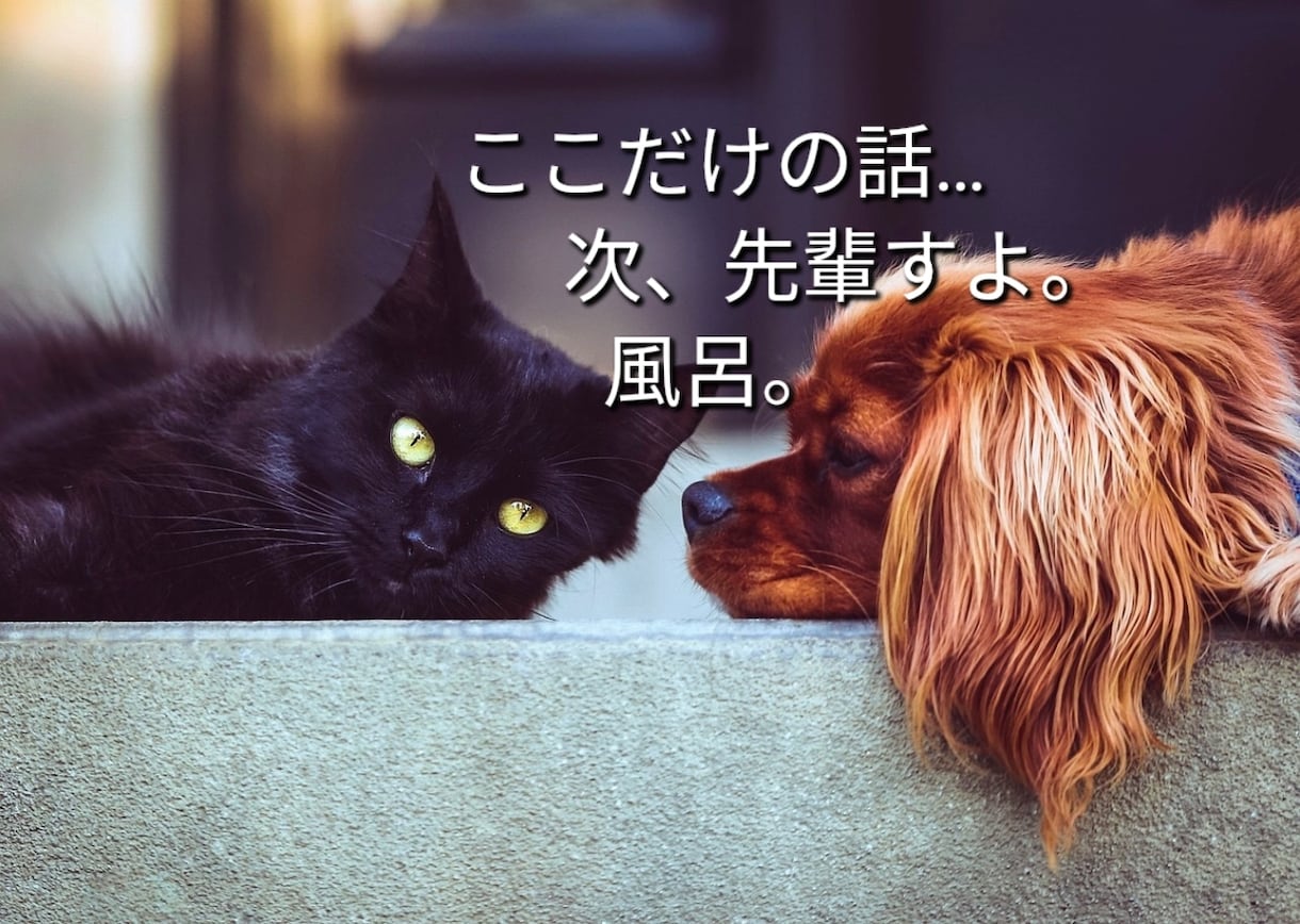 ちょっとだけ聞いて欲しい。話したい。聞きます 元気が無い時は無言でも大丈夫。同じ時間を過ごしましょう。 イメージ2