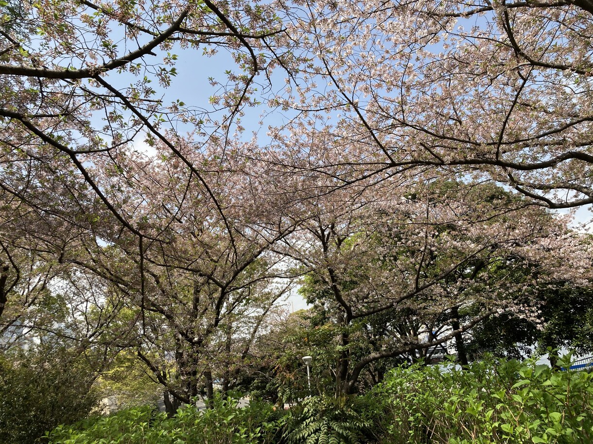 誰にも言えない不倫、浮気の悩み、お聞きします どちら側の立場でもお話し聞きます。 イメージ2