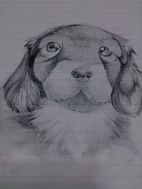 写真をもとに似顔絵描きます イメージ1