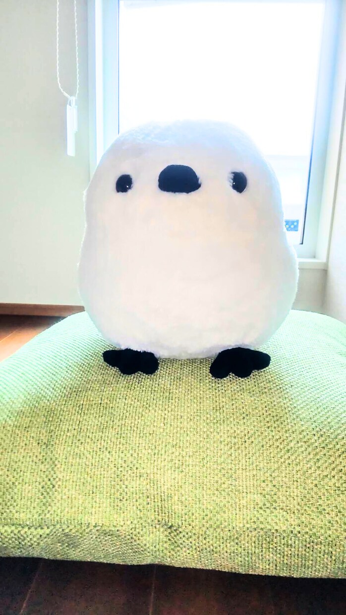 今すぐOK♥️アナタのお片付けを全力サポートします 電話しながら*一緒に*お掃除シマせんか？ イメージ7