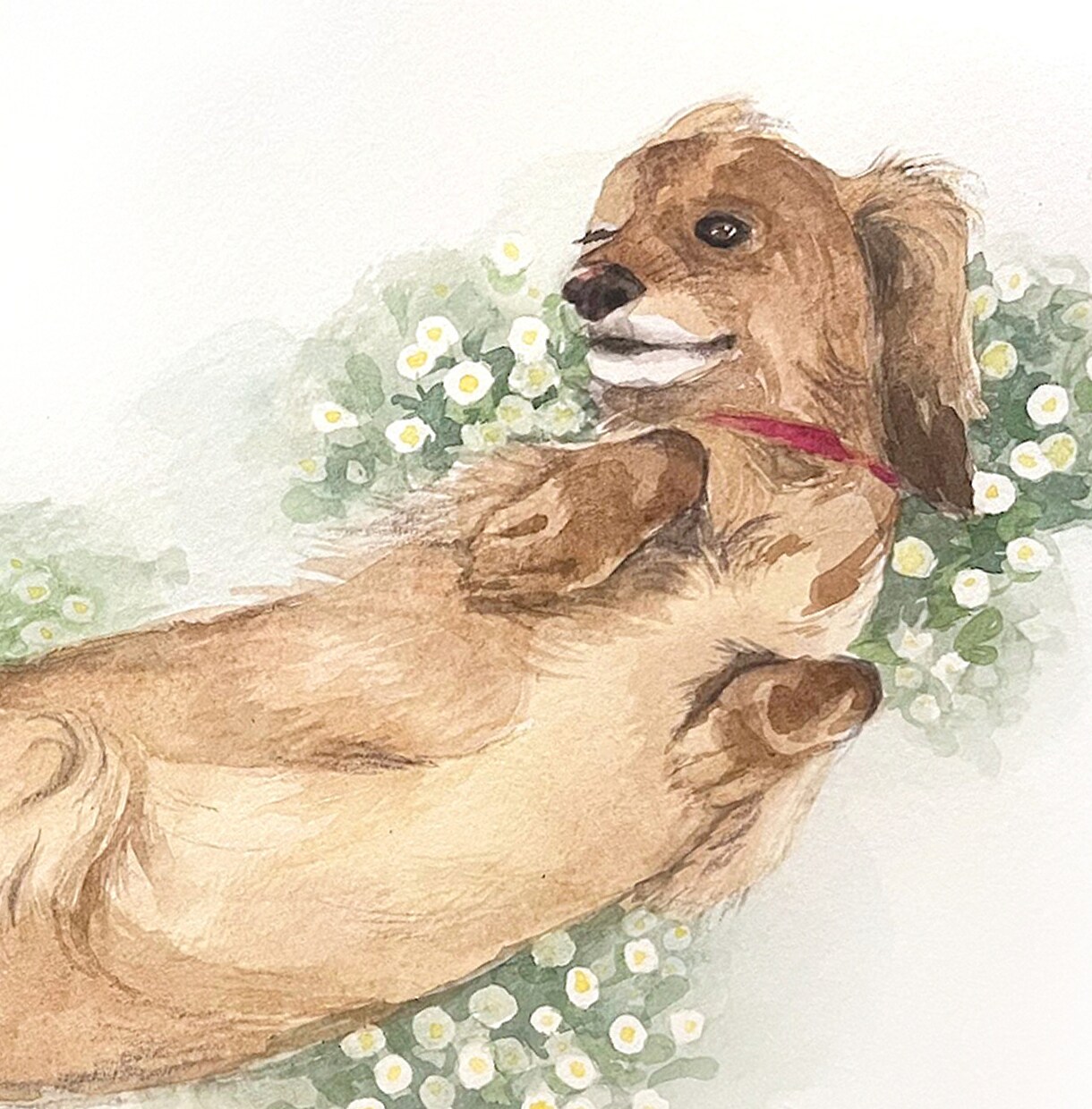 動物似顔絵・手描きの水彩で描きます 鮮やかなタッチの水彩画で、思い出をアートとして残しませんか? イメージ1