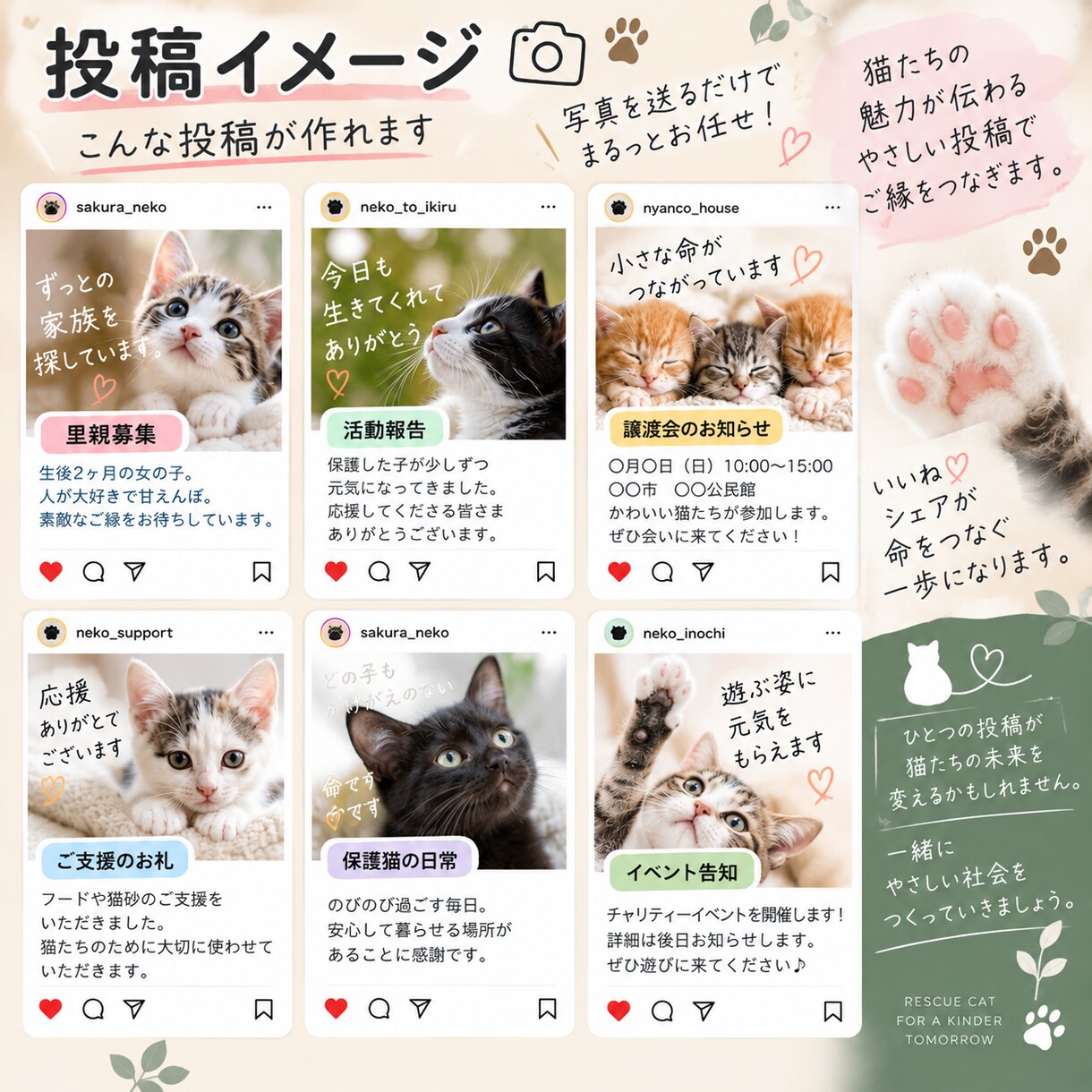 保護猫活動のInstagram投稿を作成します 写真を送るだけ！想いが伝わる投稿をお作りします イメージ3