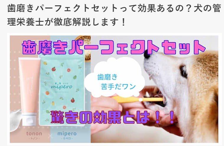 わかりやすく、読みやすいライティングします 「SEO × 読みやすさ」に特化したライティングいたします。 イメージ2