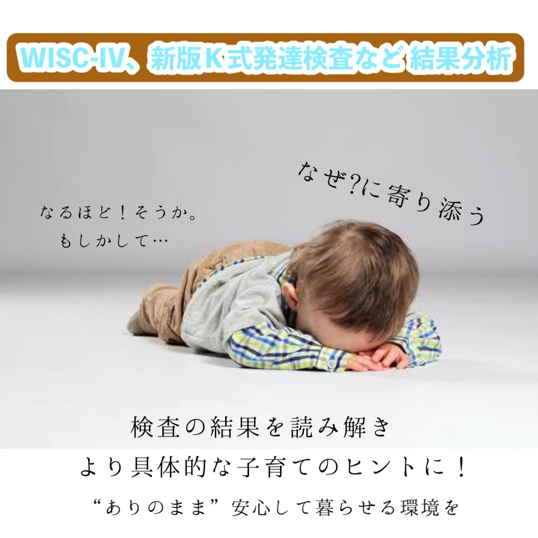 WISC-IV、新版K式検査分かりやすく分析します 発達障害に悩む保護者の方や、現場で葛藤する先生方へ イメージ1