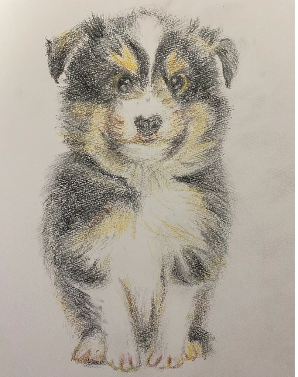 ペット（小動物・爬虫類も）削り画、色鉛筆画描きます 削り画は色付き紙の黒塗りを削ります。 イメージ2