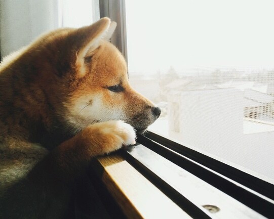 心寂しい♡あなたの話♡聞きます 【ひとりで寂しい気持ちを抱えている】あなたへ♡ イメージ5