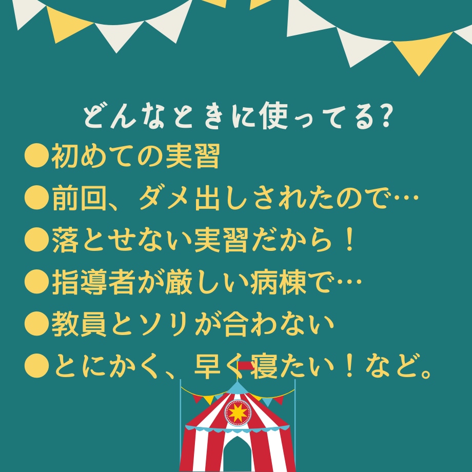 2時間～お渡し可能★実習記録代行★代わりに書きます ★基礎★成人★老年★アセスメント、行動計画、ケア、目標も♪ イメージ4