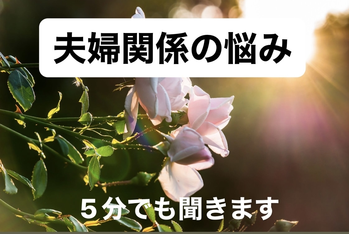誰にも言えない夫婦関係の悩み✅　5分でも聞きます 不倫・浮気・セックスレス・モラハラ・借金　何でも相談乗ります イメージ1