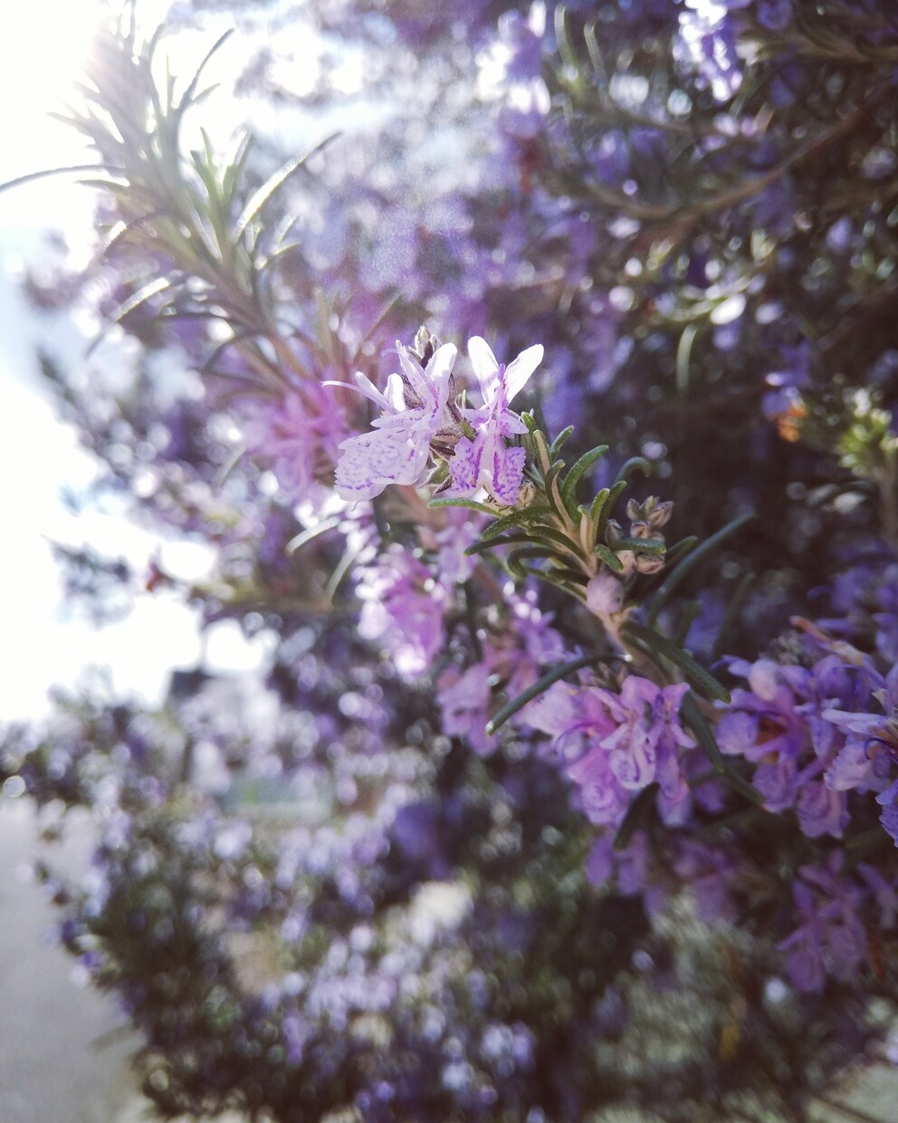 懺悔〜ざんげ〜あなたを想い後悔しています あなたが私を赦しても私は私を赦せない。 イメージ8