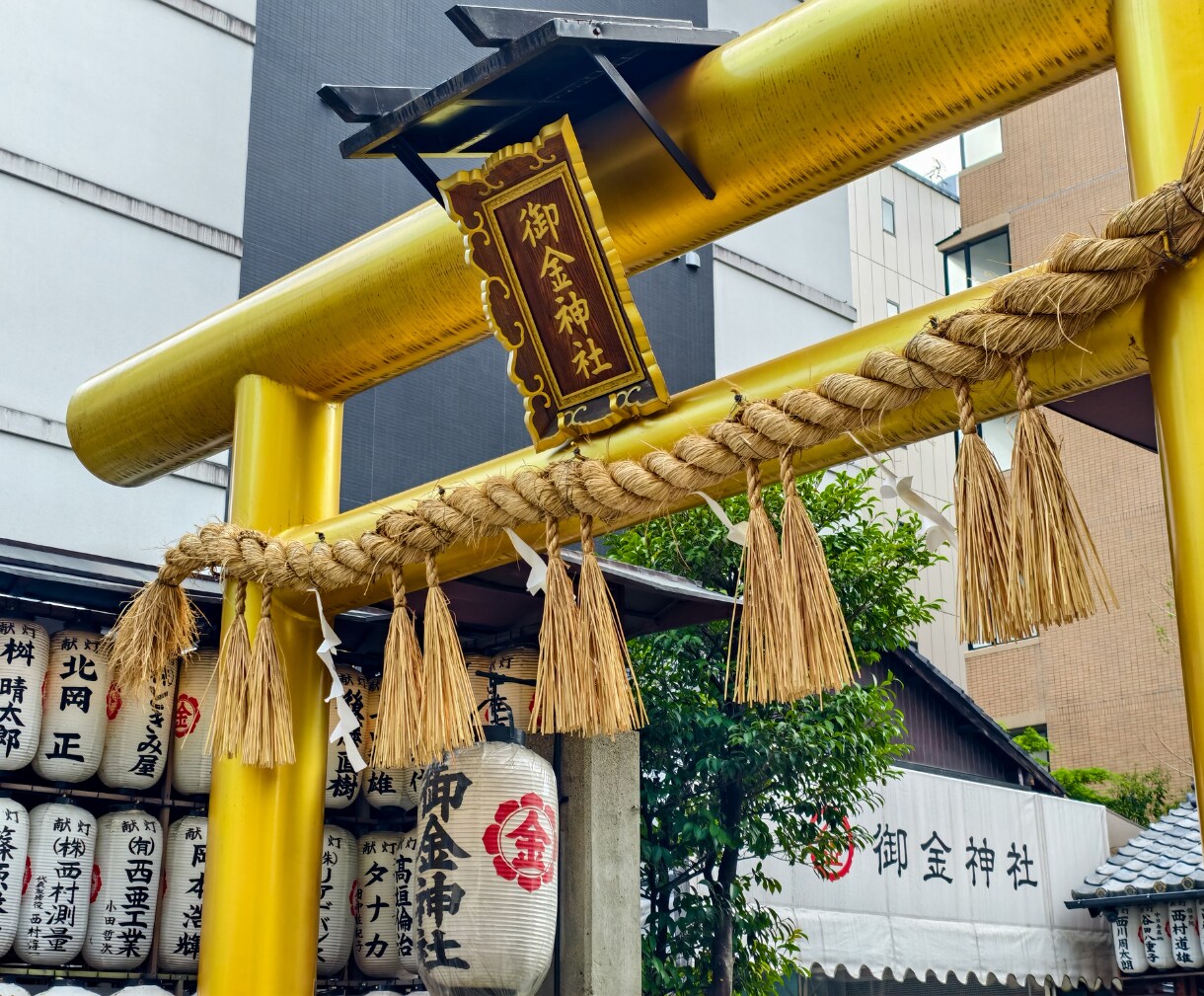 金運覚醒★停滞しているエネルギーの根源を視ます 商売繫盛 金運覚醒 財運の引き寄せ 不安な毎日から解放します イメージ10