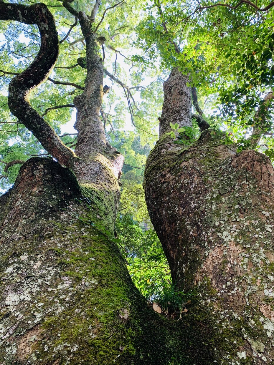 あなたの恋の相談親身に聞きます 誰かに話すだけで気持ちが楽になります イメージ1