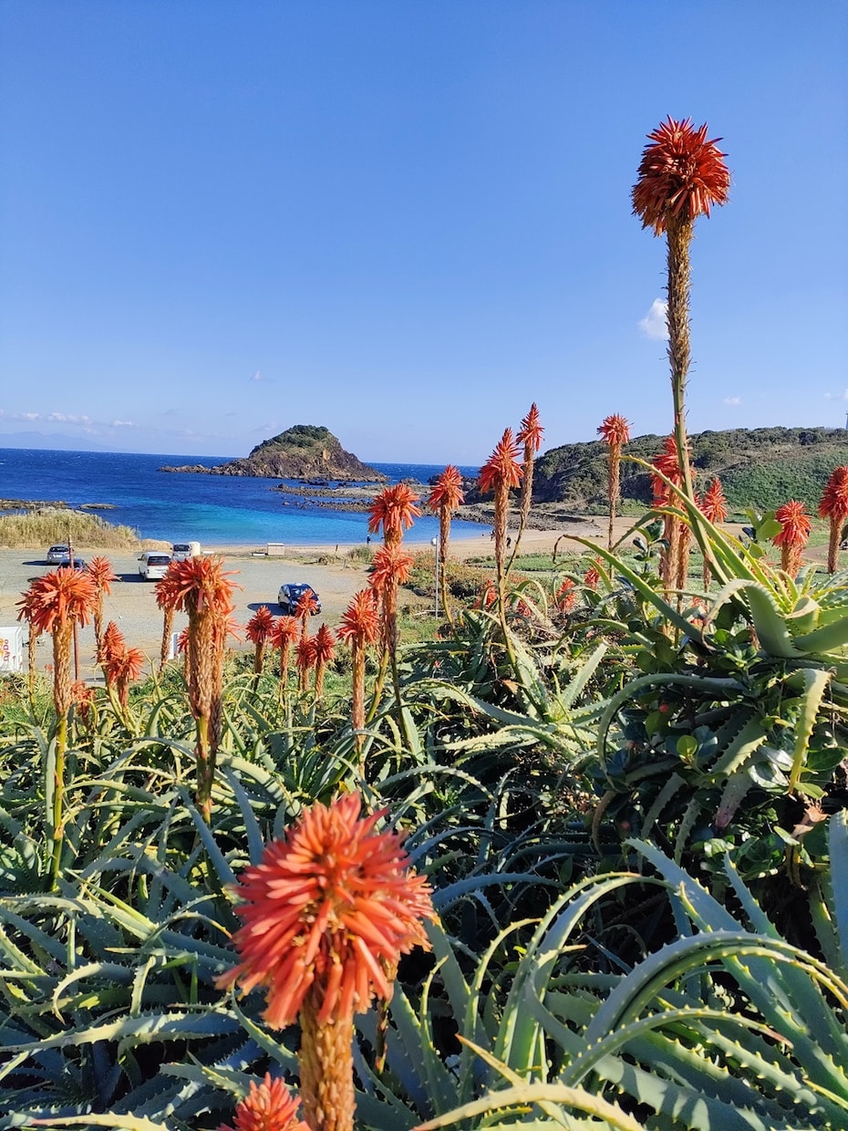 伊豆で初期調査をお考えの方へ現地の写真撮影します 現地調査で人員を割けない個人・企業の皆へ撮影代行いたします。 イメージ10