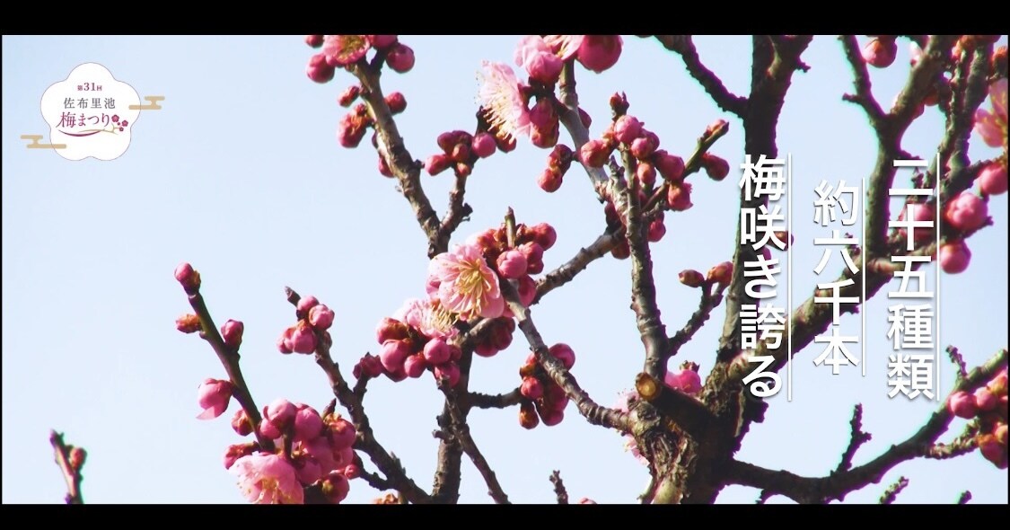 個性あふれる自己PR動画制作します テレビとYouTubeの感性を混ぜ込んだ一品を制作します！ イメージ2