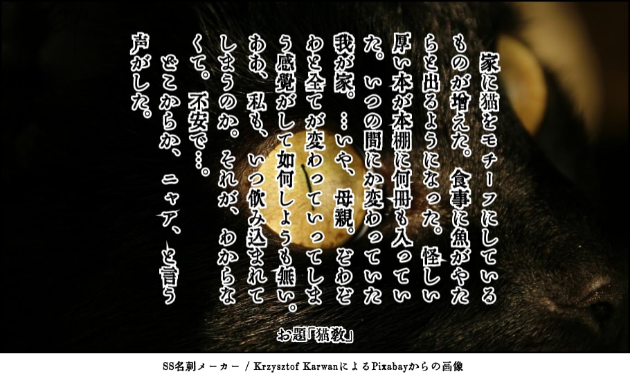 短編小説書きます 一次・二次・夢など！　掌編小説複数も承ります！ イメージ6