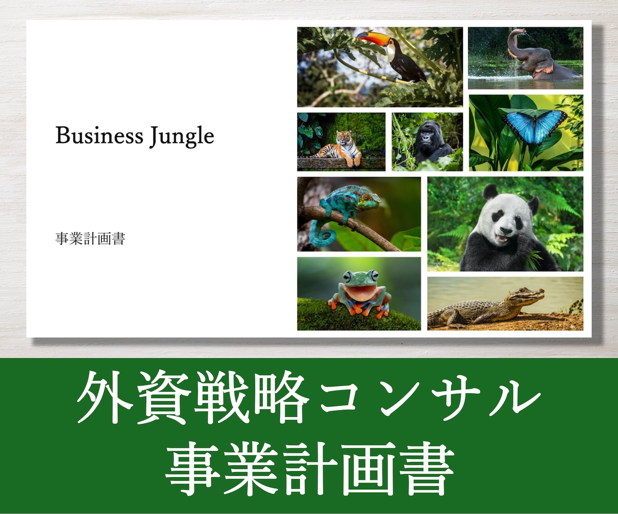 外資戦略コンサルが事業計画書を作成します 新規出品のため実績10件まで半額キャンペーン中！ イメージ2
