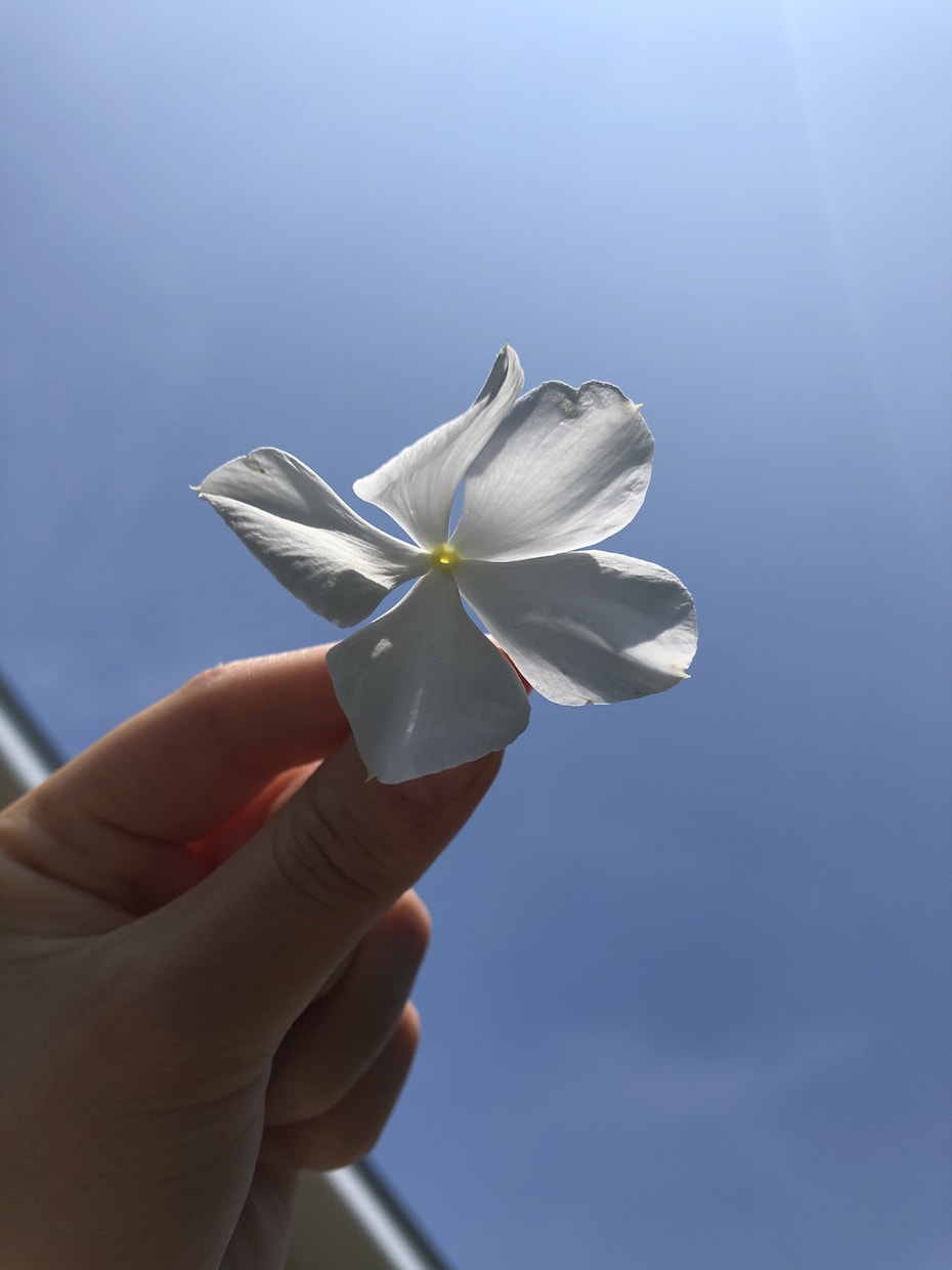 気持ちを楽にします モヤモヤする気持ちをすっきりしませんか？ イメージ1