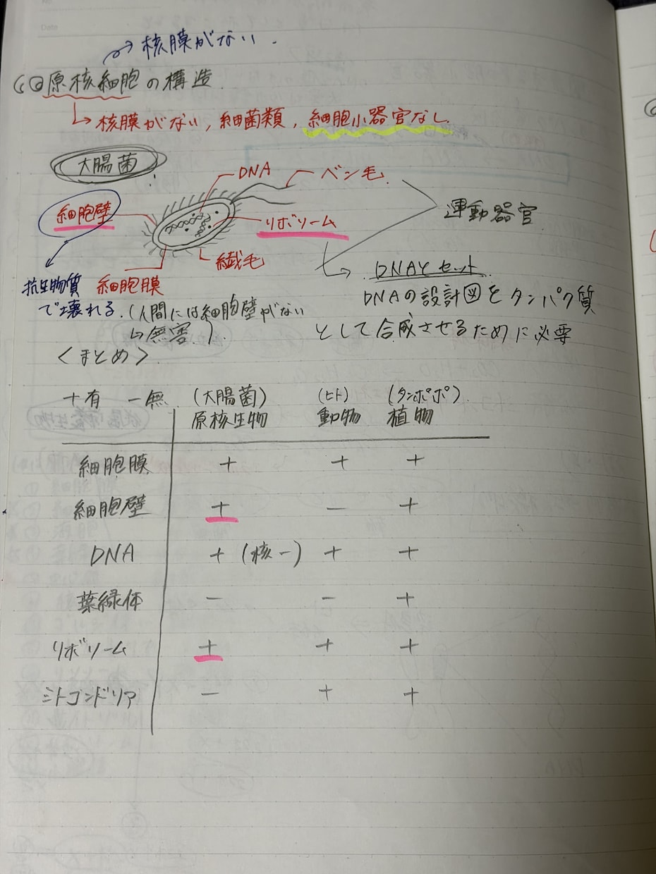 テストの成績アップのためのプリントを提供しています 小中高と成績トップの現役大学生がテスト点数アップの全てを伝授 イメージ5