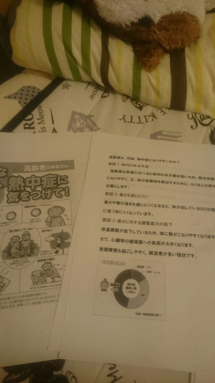 簡単な医療介護マニュアル作成します 健康指導で配布したいマニュアルを作成します イメージ2
