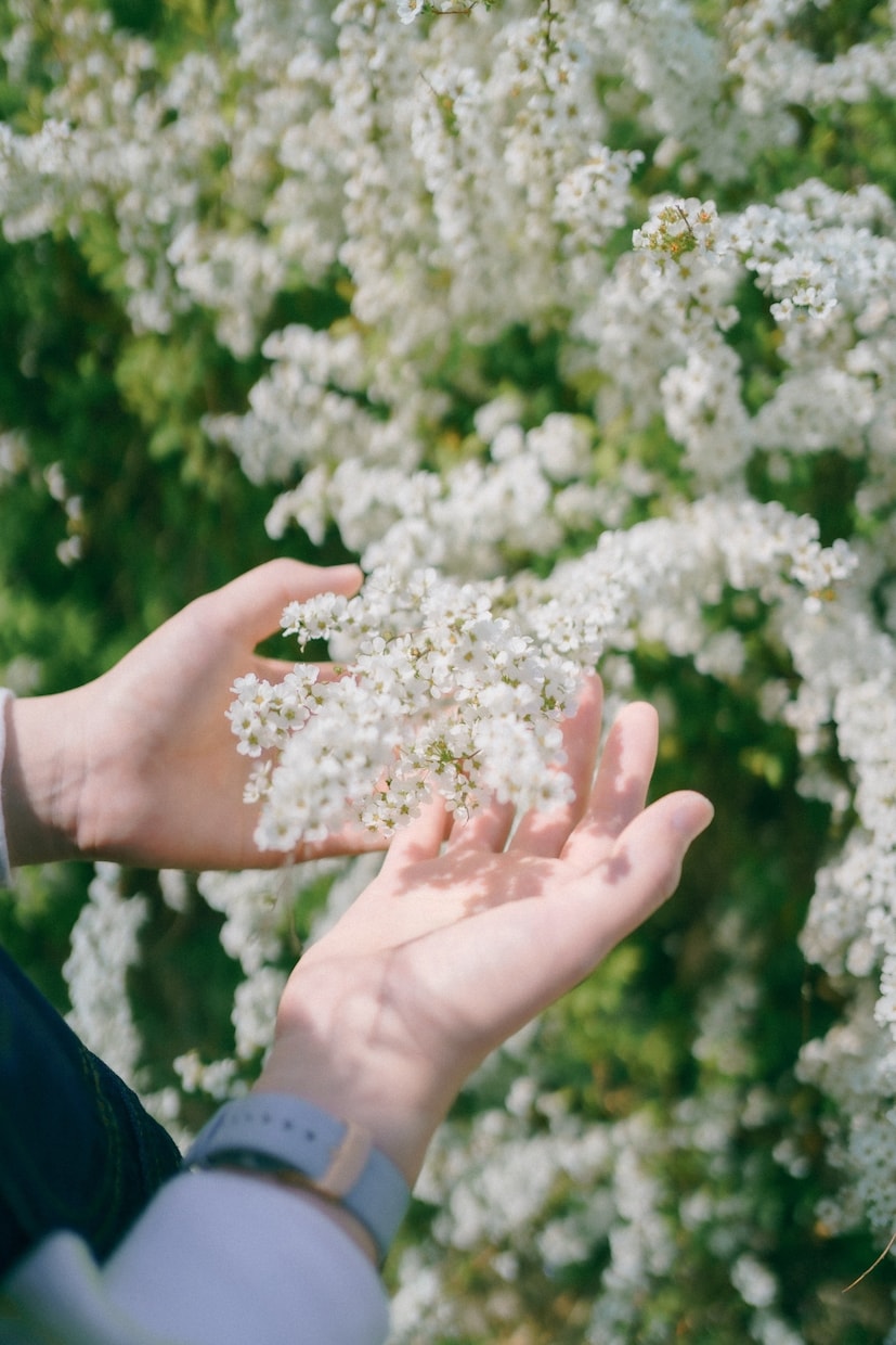 家族写真、記念写真等出張撮影します 花や自然を活かした写真が得意です。 イメージ2