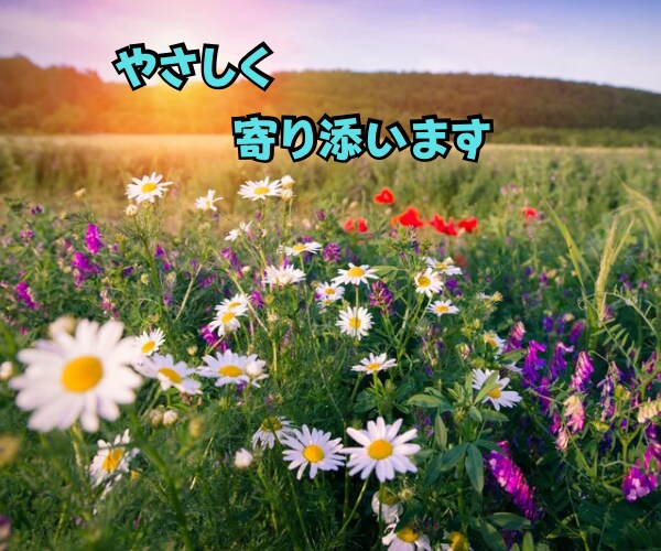 愚痴、雑談、恋愛話、何でもお話聞きます 元アロマセラピストがココロのケア イメージ4