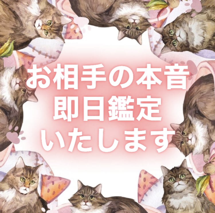 お相手の気持ち・相性・未来鑑定いたします 結果がすぐわかる✨複数占術で総合的 タロット 四柱推命 恋愛 イメージ1