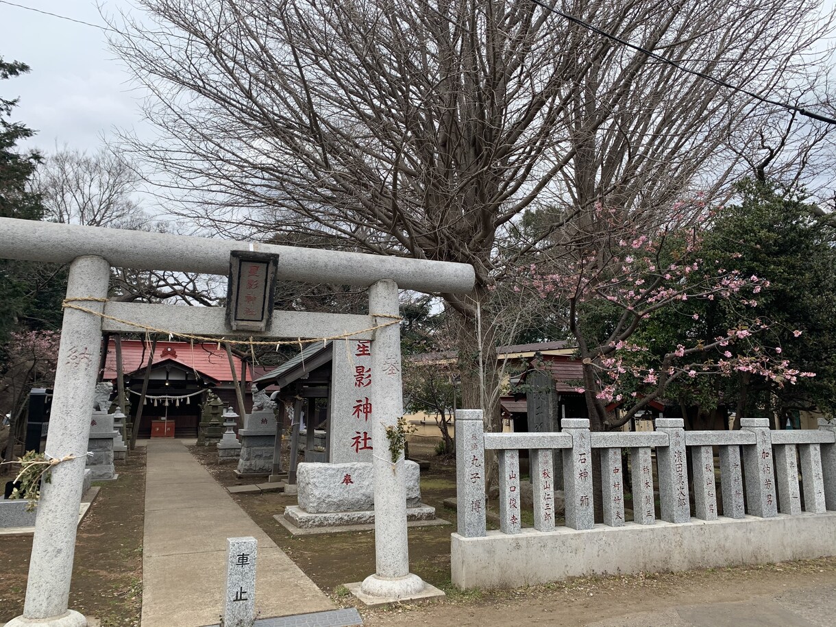 仕事の悩み、相談にのります 普段から転職のアドバイザーやってます。色んな目線で イメージ1