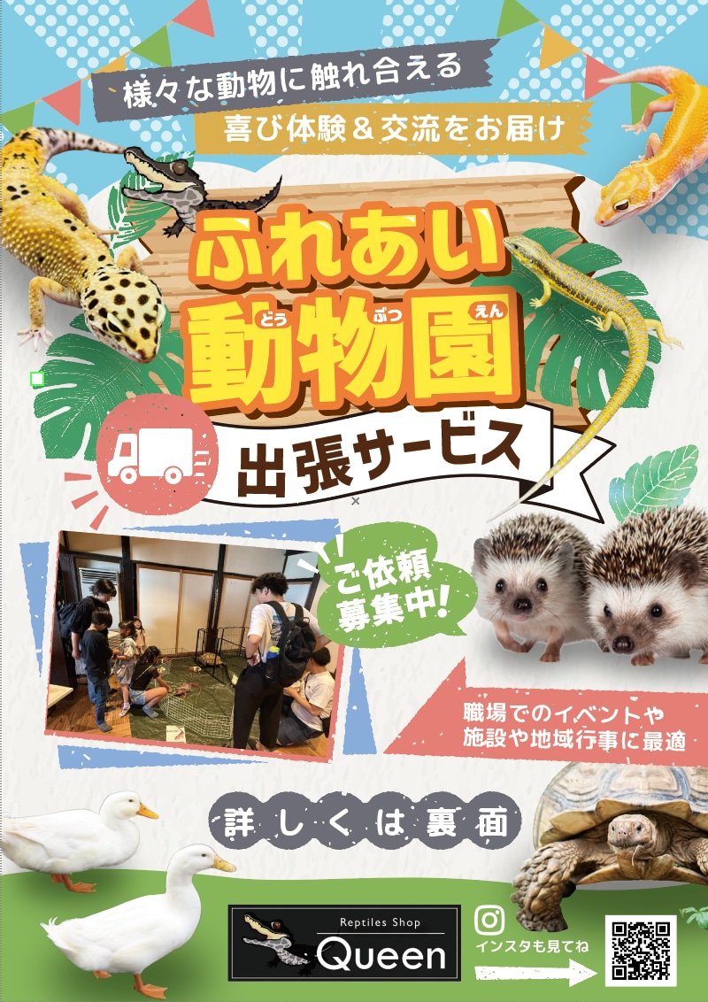 リーフレットなど印刷物全般のデザインを承ります 得意な分野は医療関係、そのほかの分野もご対応いたします。 イメージ10