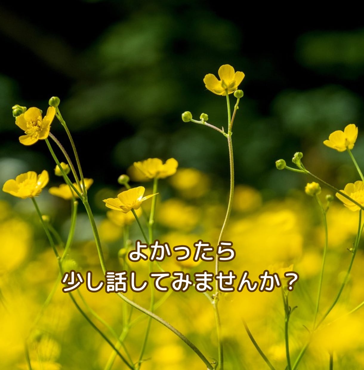 誰かと話したい時のチャット 話し相手になります 雑談・寂しい・ただ聞いてほしい・チャット・話し相手 イメージ3