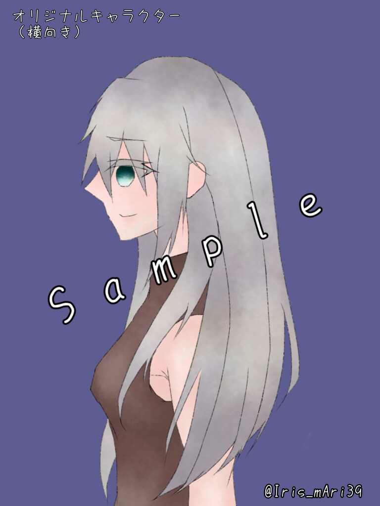 SNSや動画などに利用するイラストを作成します 立ち絵や挿絵に使う貴方のオリジナルキャラクターを描きます！ イメージ3